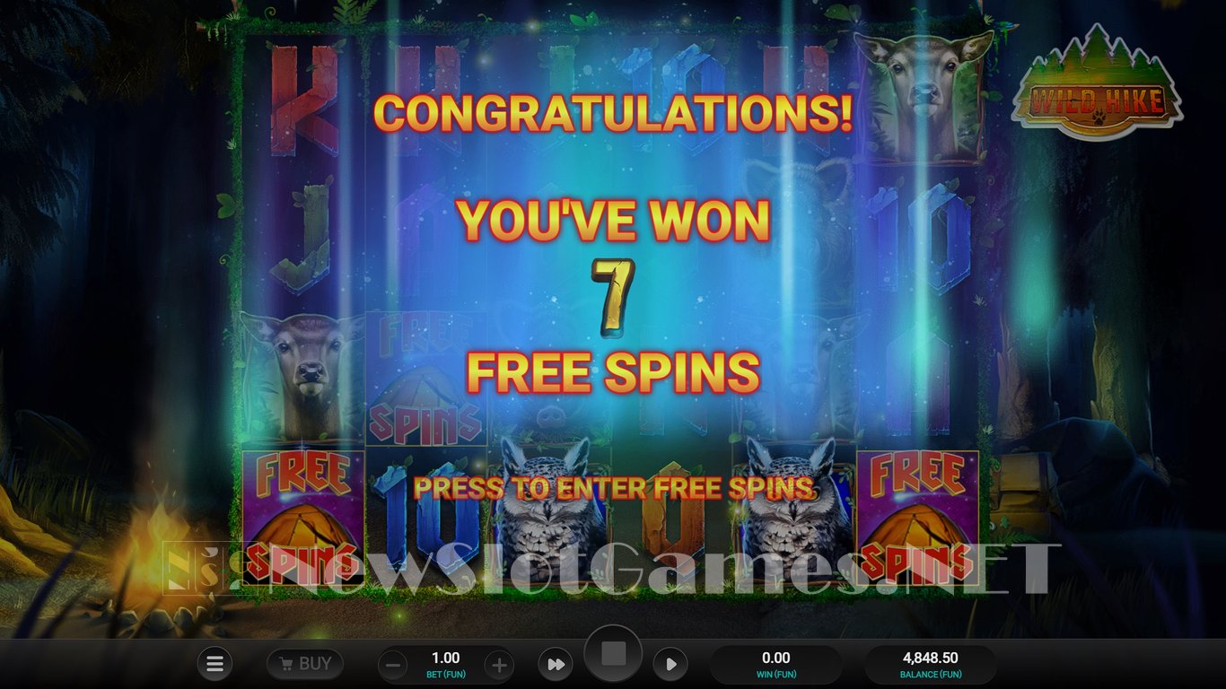 Wild Hike Slot Slot Image in Demo - pic. 9