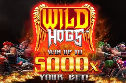 Wild Hogs Slot Icon