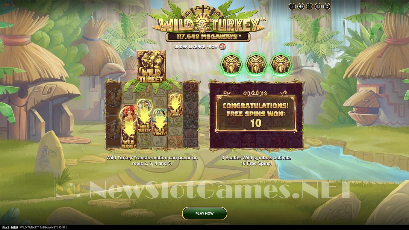 Wild Turkey Megaways Slot Demo Image