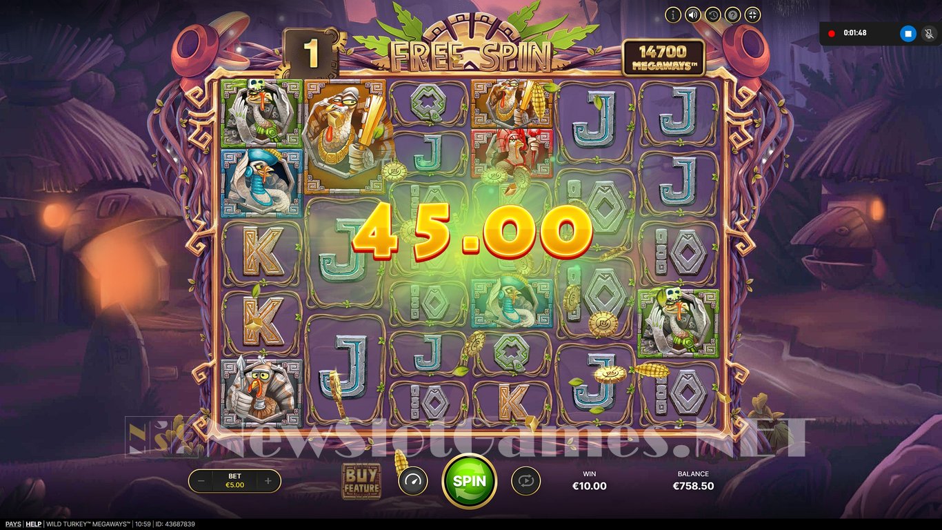 Wild Turkey Megaways Slot Slot Image in Demo - pic. 16