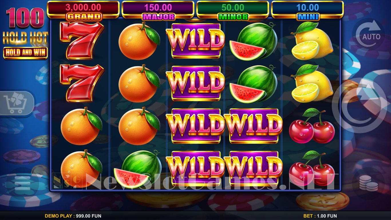 100 Hold Hot Hold and Wild Slot Demo Image