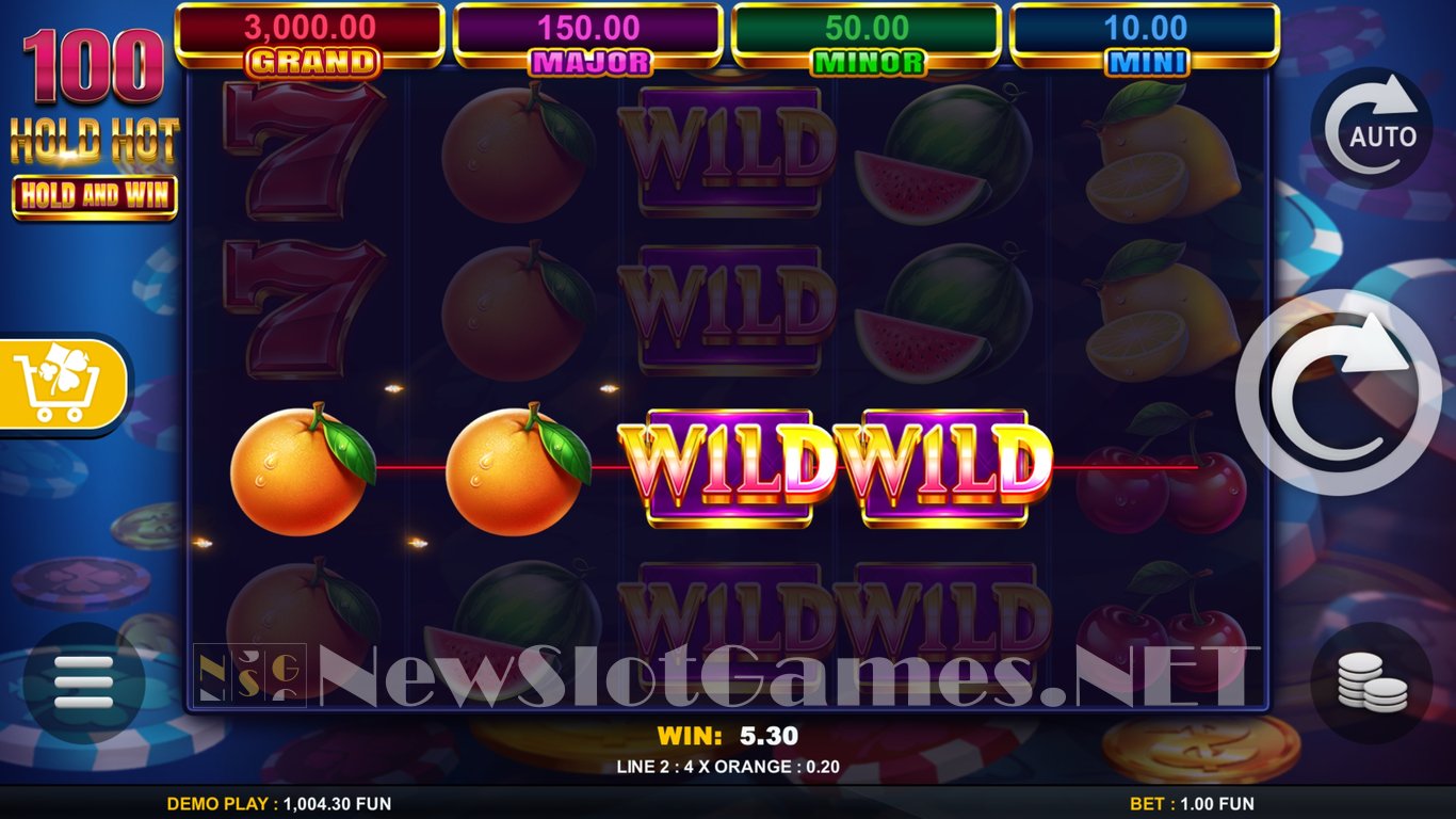 100 Hold Hot Hold and Wild Slot Slot Image in Demo - pic. 2