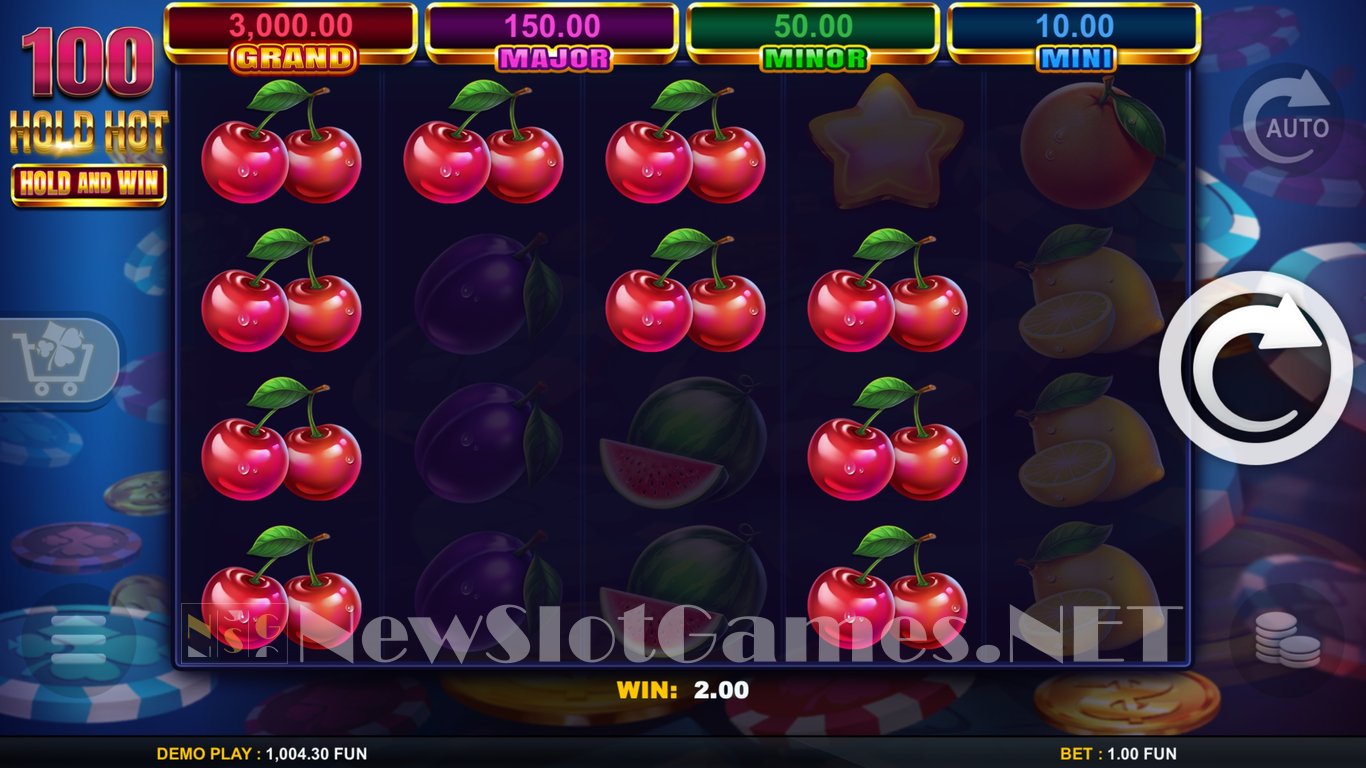 100 Hold Hot Hold and Wild Slot Slot Image in Demo - pic. 3