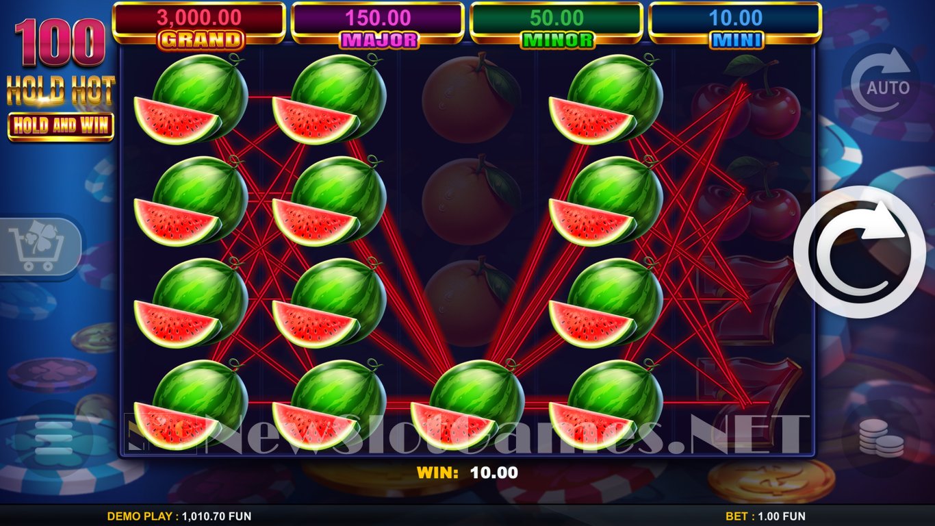 100 Hold Hot Hold and Wild Slot Slot Image in Demo - pic. 5