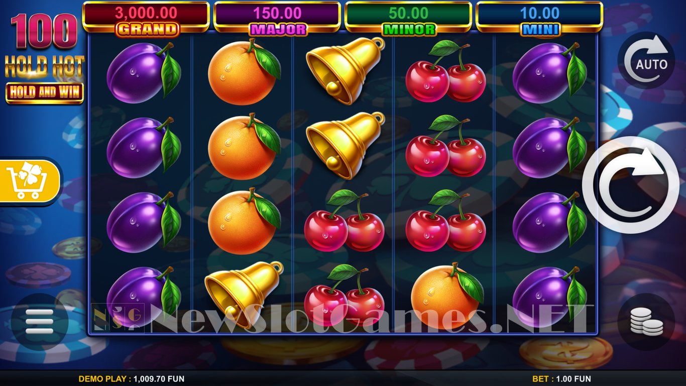 100 Hold Hot Hold and Wild Slot Slot Image in Demo - pic. 6