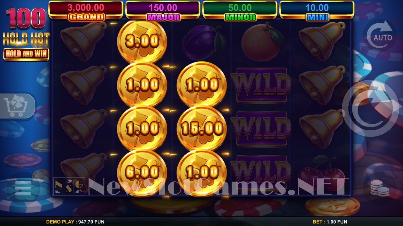 100 Hold Hot Hold and Wild Slot Slot Image in Demo - pic. 8