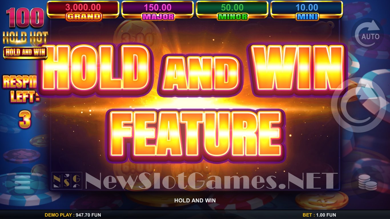 100 Hold Hot Hold and Wild Slot Slot Image in Demo - pic. 9