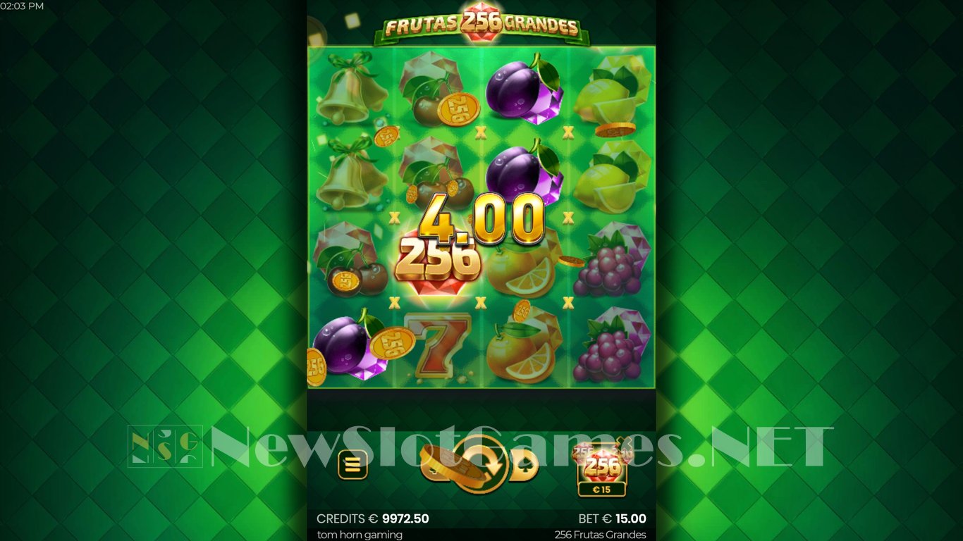 256 Frutas Grandes Slot Slot Image in Demo - pic. 11