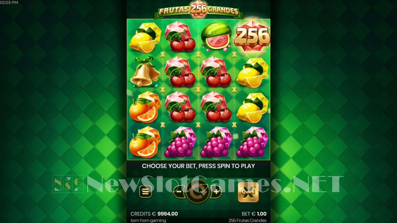 256 Frutas Grandes Slot Slot Image in Demo - pic. 5