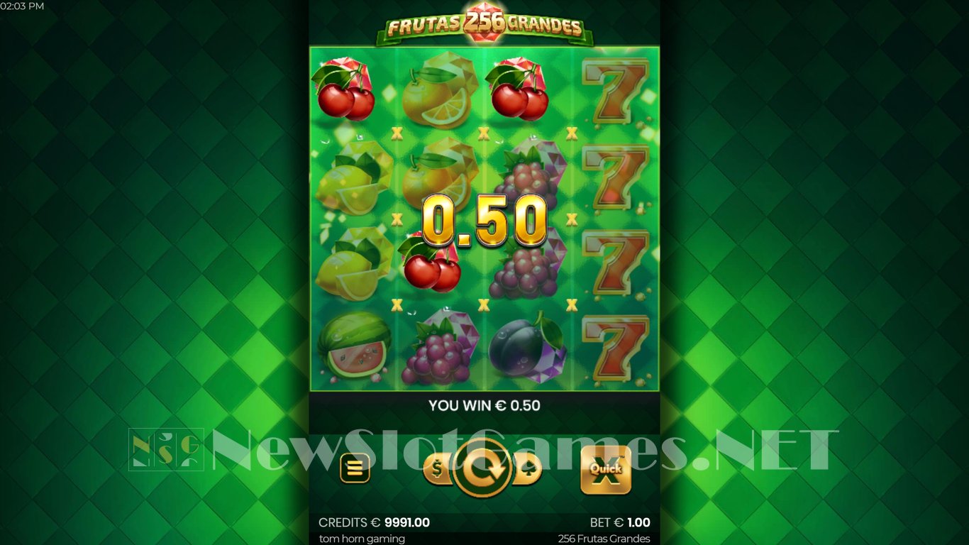256 Frutas Grandes Slot Slot Image in Demo - pic. 7