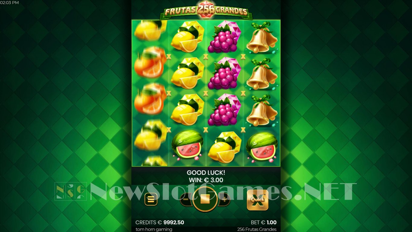 256 Frutas Grandes Slot Slot Image in Demo - pic. 8