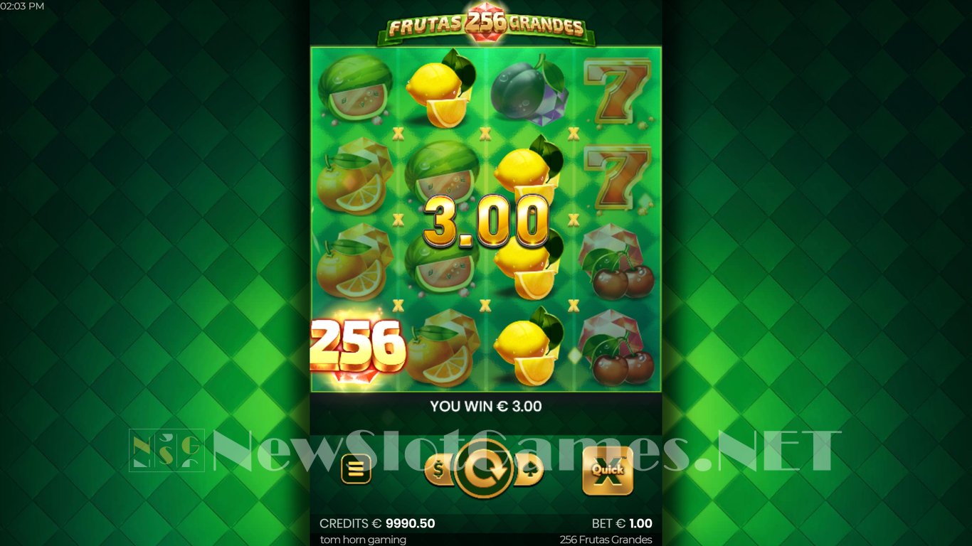 256 Frutas Grandes Slot Slot Image in Demo - pic. 9