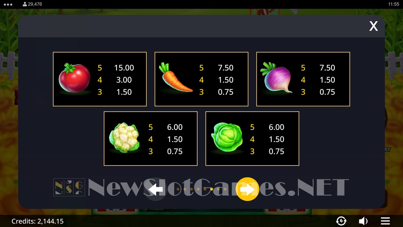 5 on the Farm - Rush Express Slot Slot Image in Demo - pic. 13