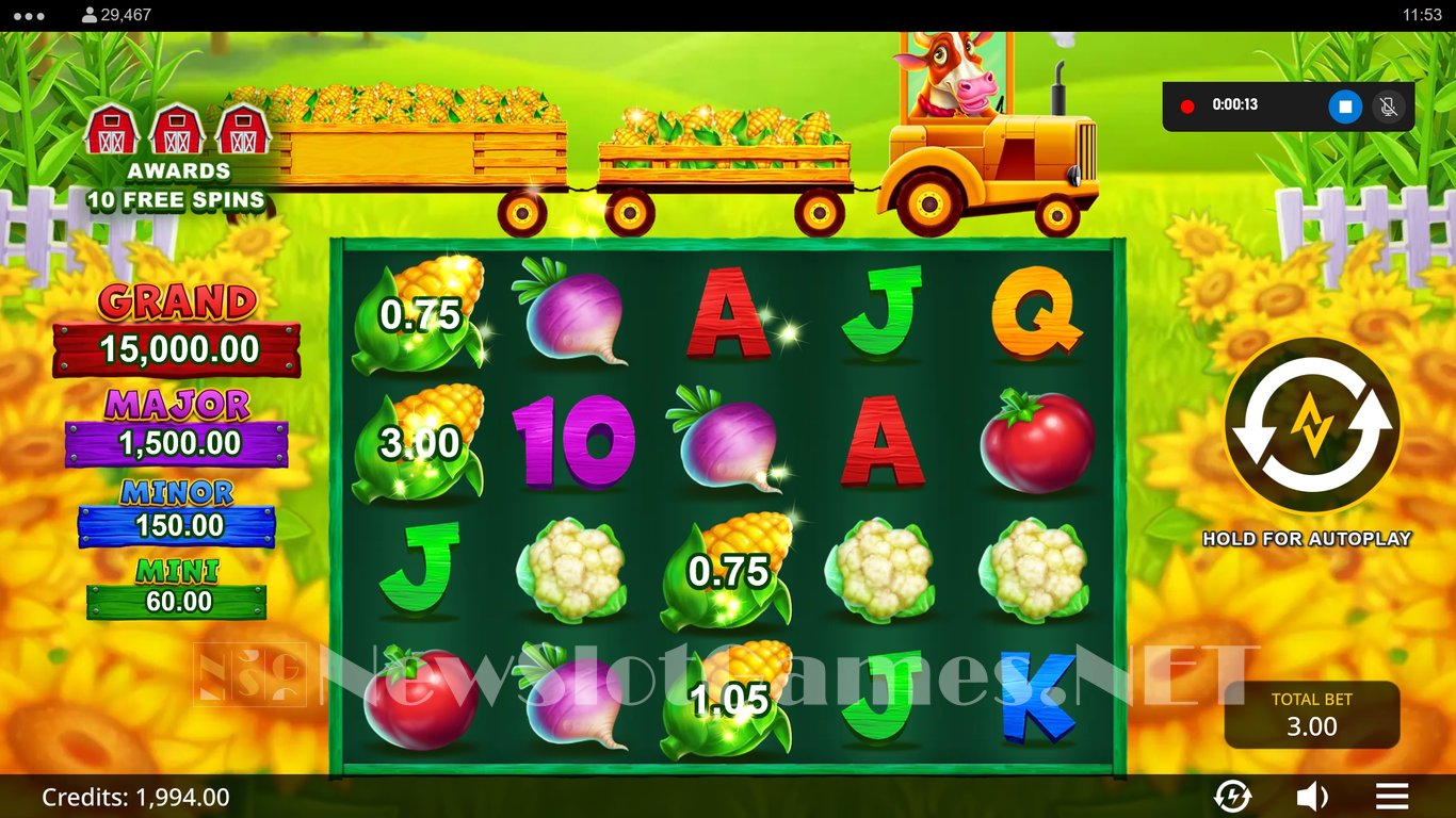 5 on the Farm - Rush Express Slot Slot Image in Demo - pic. 3