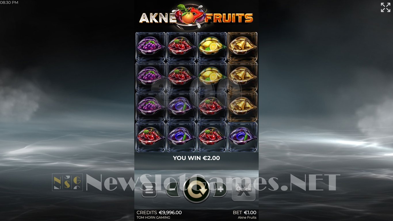 Akne Fruits Slot Slot Image in Demo - pic. 3