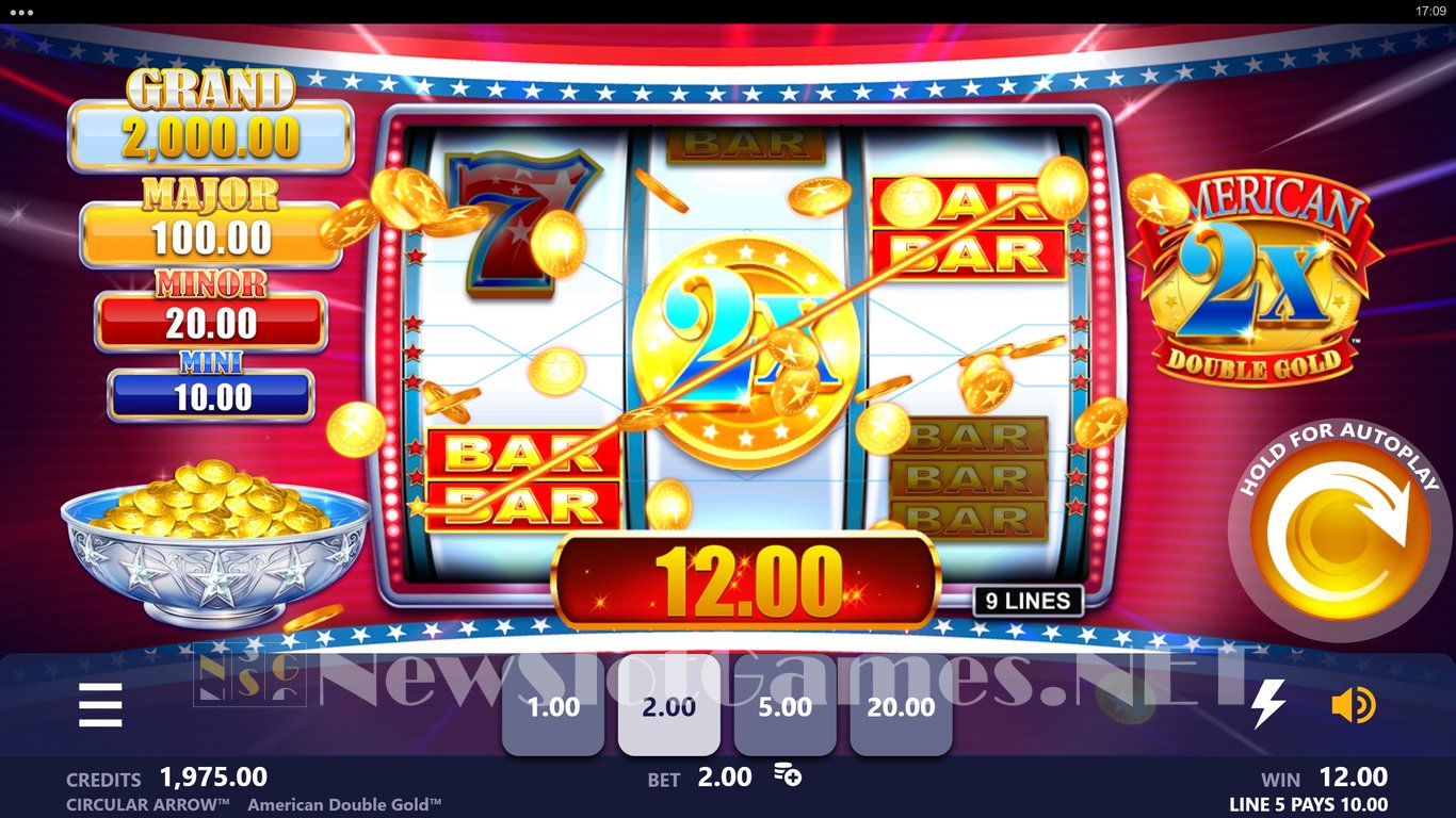 American Double Gold Slot Slot Image in Demo - pic. 5