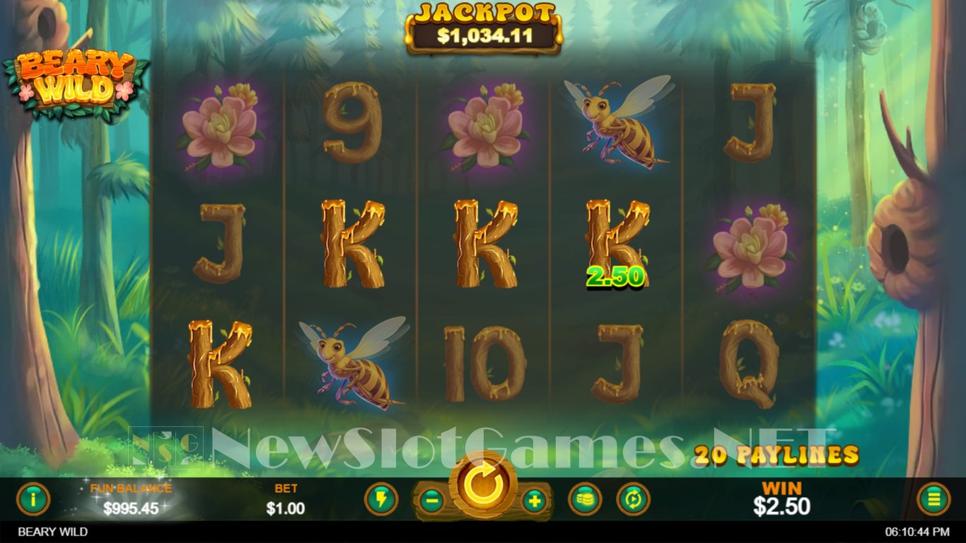 Beary Wild Slot Slot Image in Demo - pic. 3