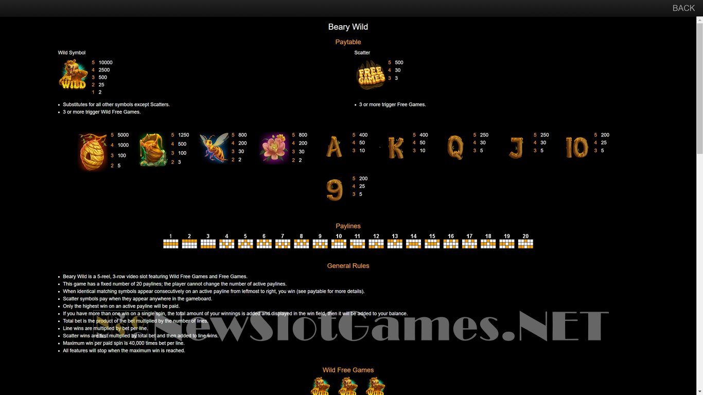 Beary Wild Slot Slot Image in Demo - pic. 4