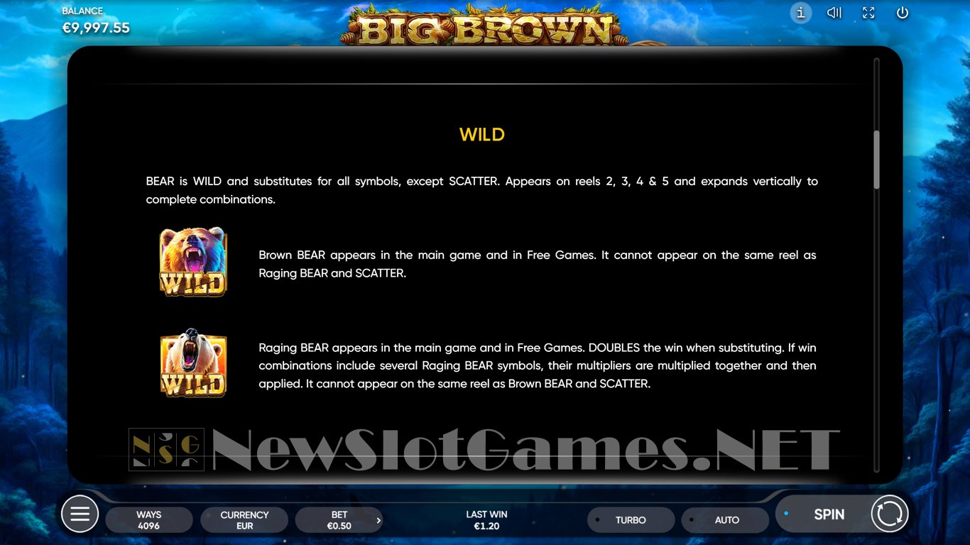 Big Brown Slot Slot Image in Demo - pic. 12