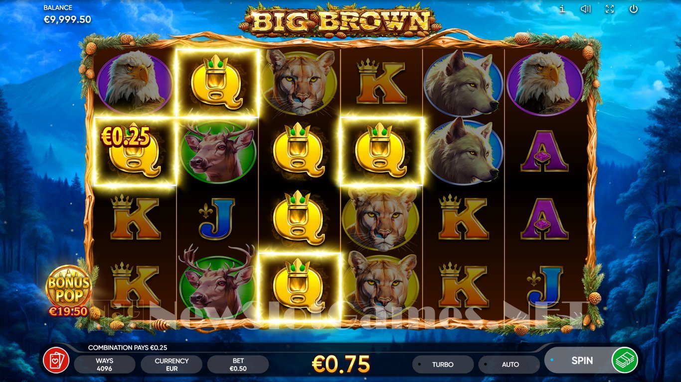 Big Brown Slot Slot Image in Demo - pic. 2