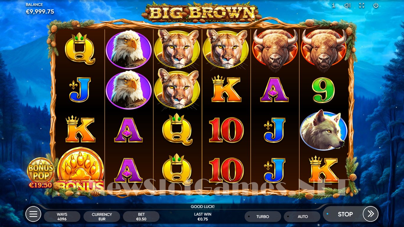 Big Brown Slot Slot Image in Demo - pic. 3