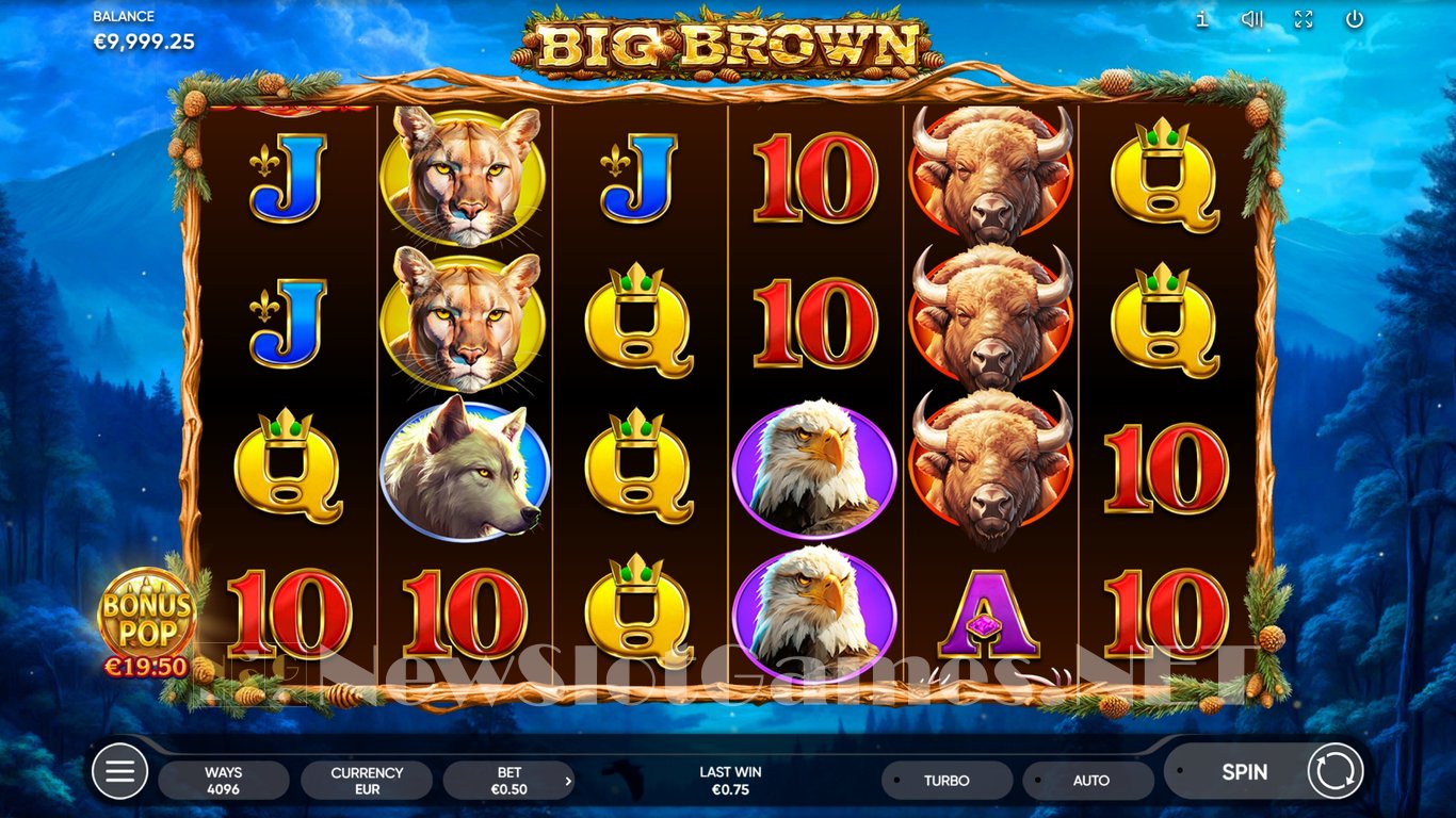 Big Brown Slot Slot Image in Demo - pic. 4