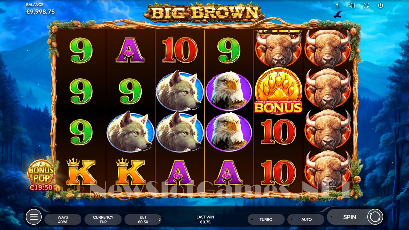 Big Brown Slot Slot Image in Demo - pic. 5