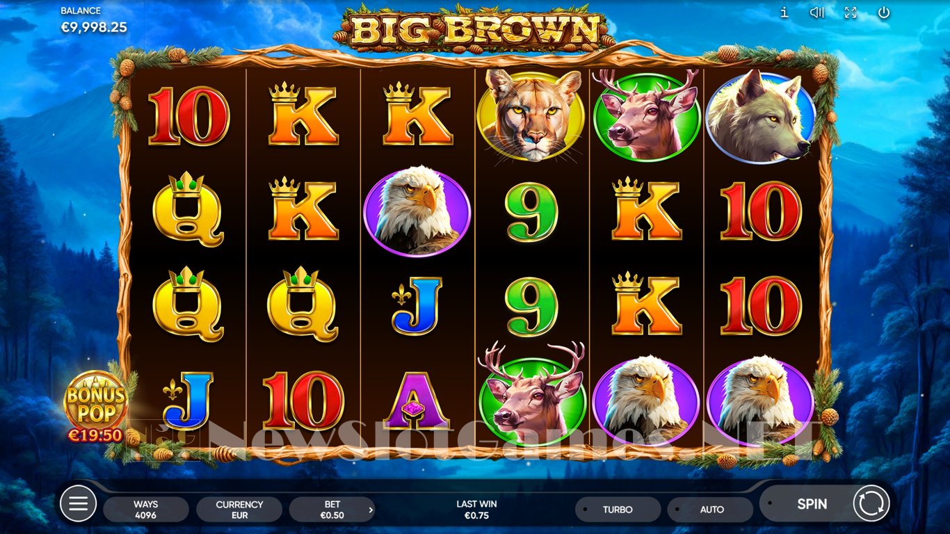 Big Brown Slot Slot Image in Demo - pic. 6