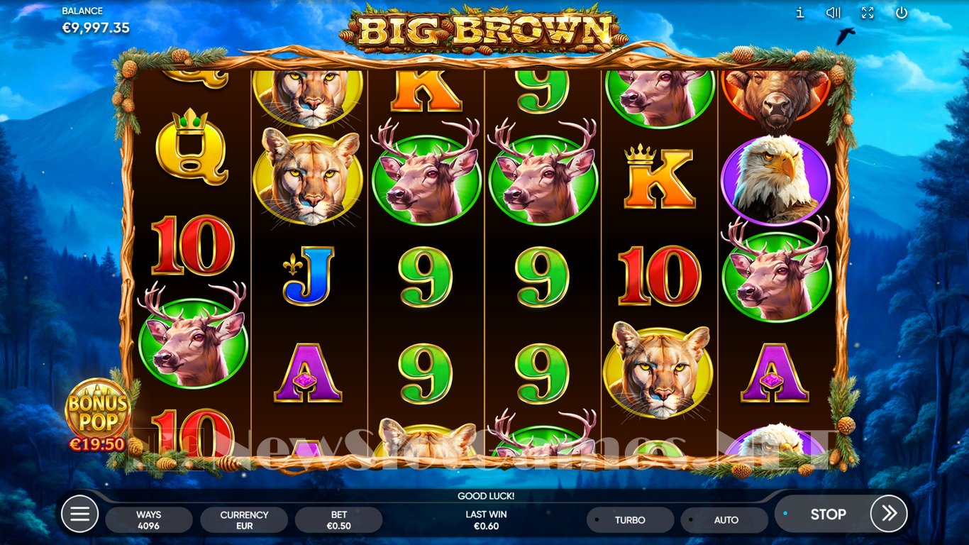 Big Brown Slot Slot Image in Demo - pic. 7