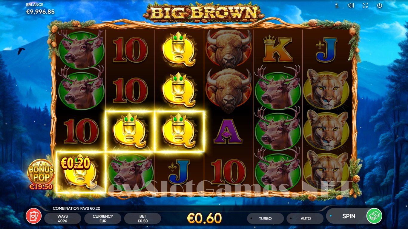 Big Brown Slot Slot Image in Demo - pic. 8
