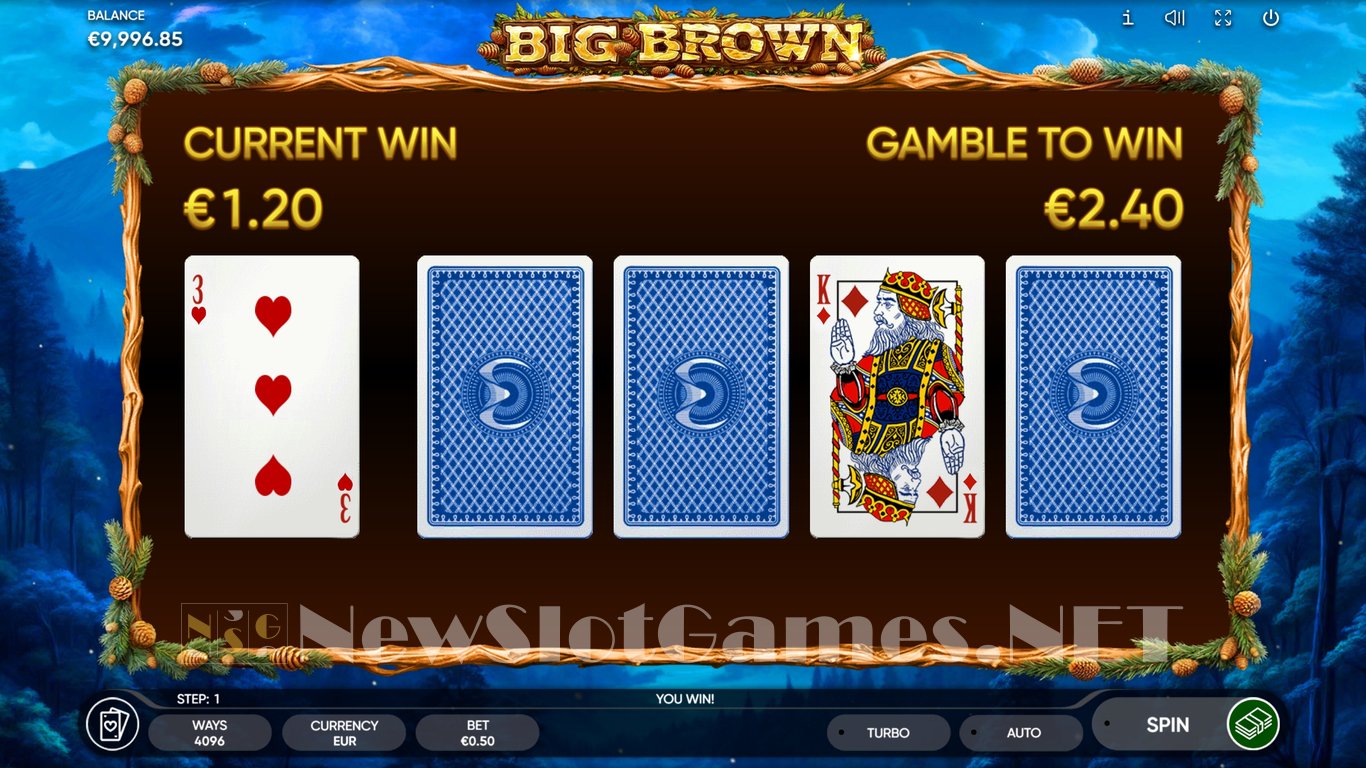 Big Brown Slot Slot Image in Demo - pic. 9
