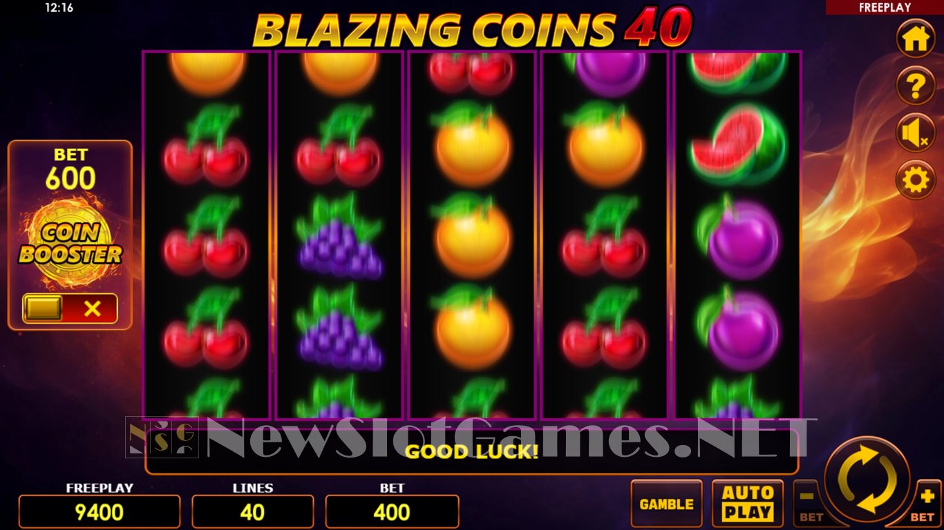 Blazing Coins 40 Slot Slot Image in Demo - pic. 3