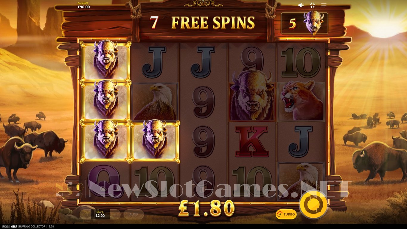 Buffalo Collector Slot Slot Image in Demo - pic. 4