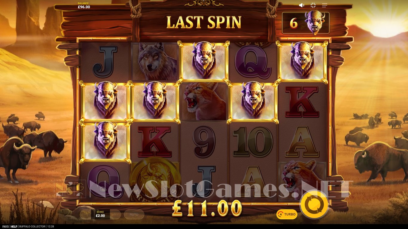 Buffalo Collector Slot Slot Image in Demo - pic. 5