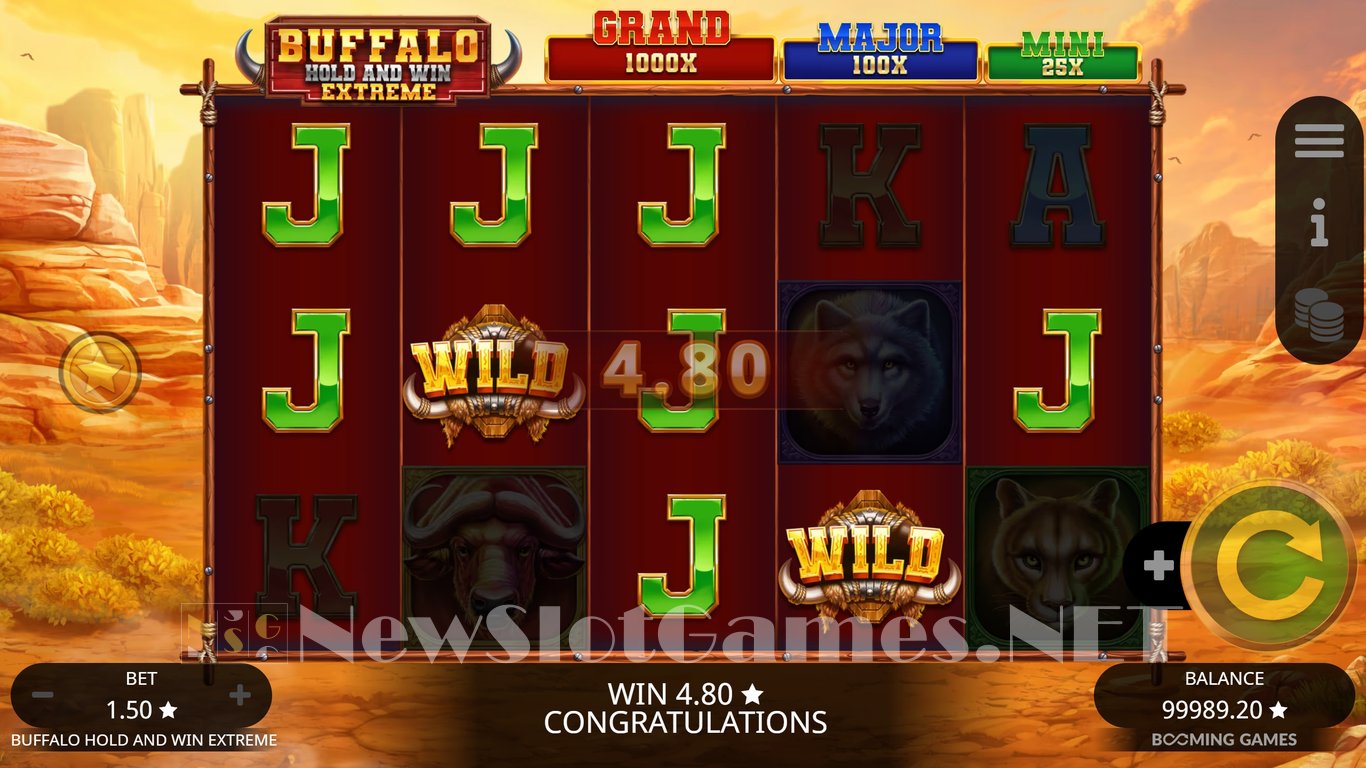 Buffalo Hold and Win Extreme Slot Slot Image in Demo - pic. 5