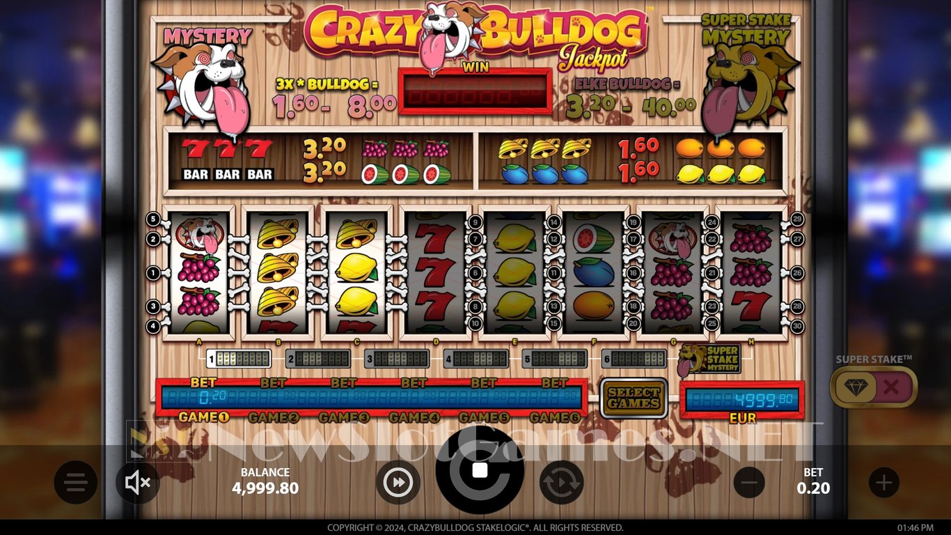 Crazy Bulldog Slot Demo Image