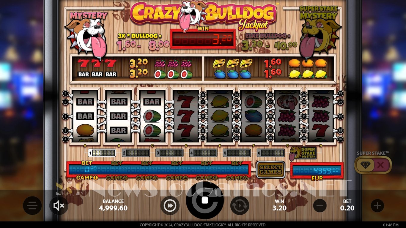 Crazy Bulldog Slot Slot Image in Demo - pic. 2