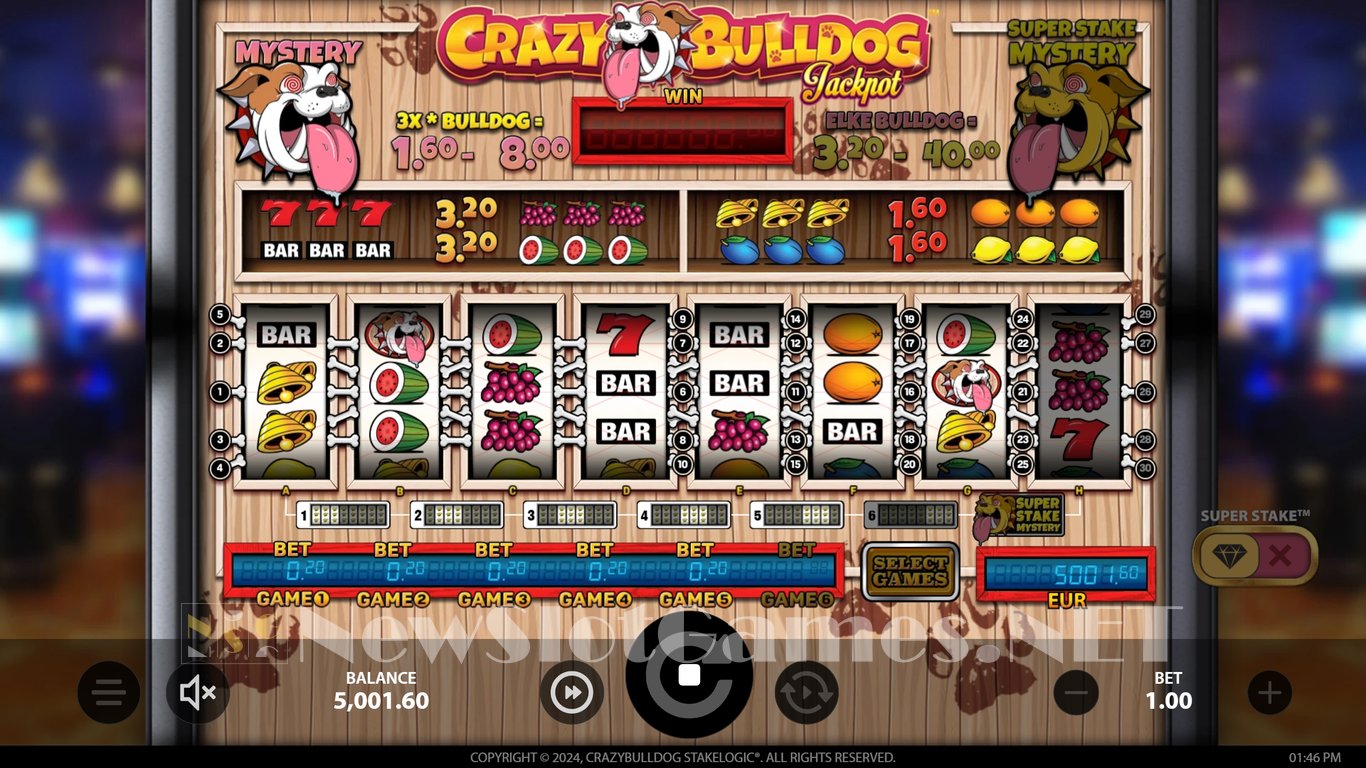 Crazy Bulldog Slot Slot Image in Demo - pic. 3