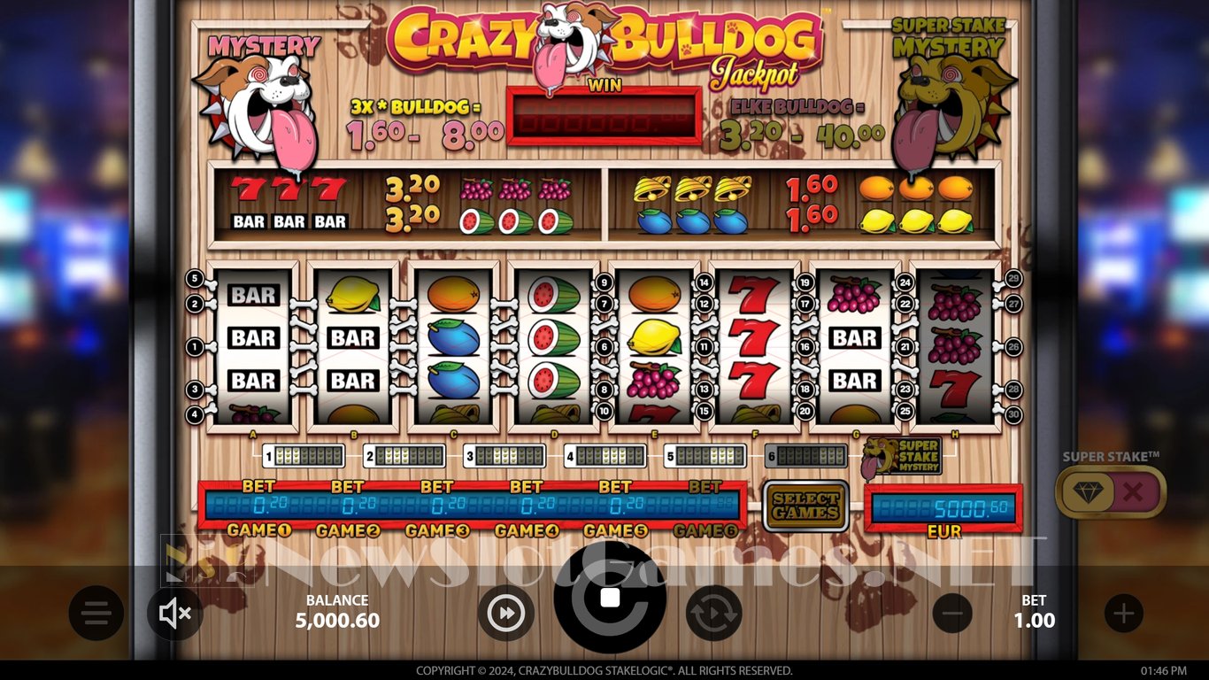 Crazy Bulldog Slot Slot Image in Demo - pic. 4