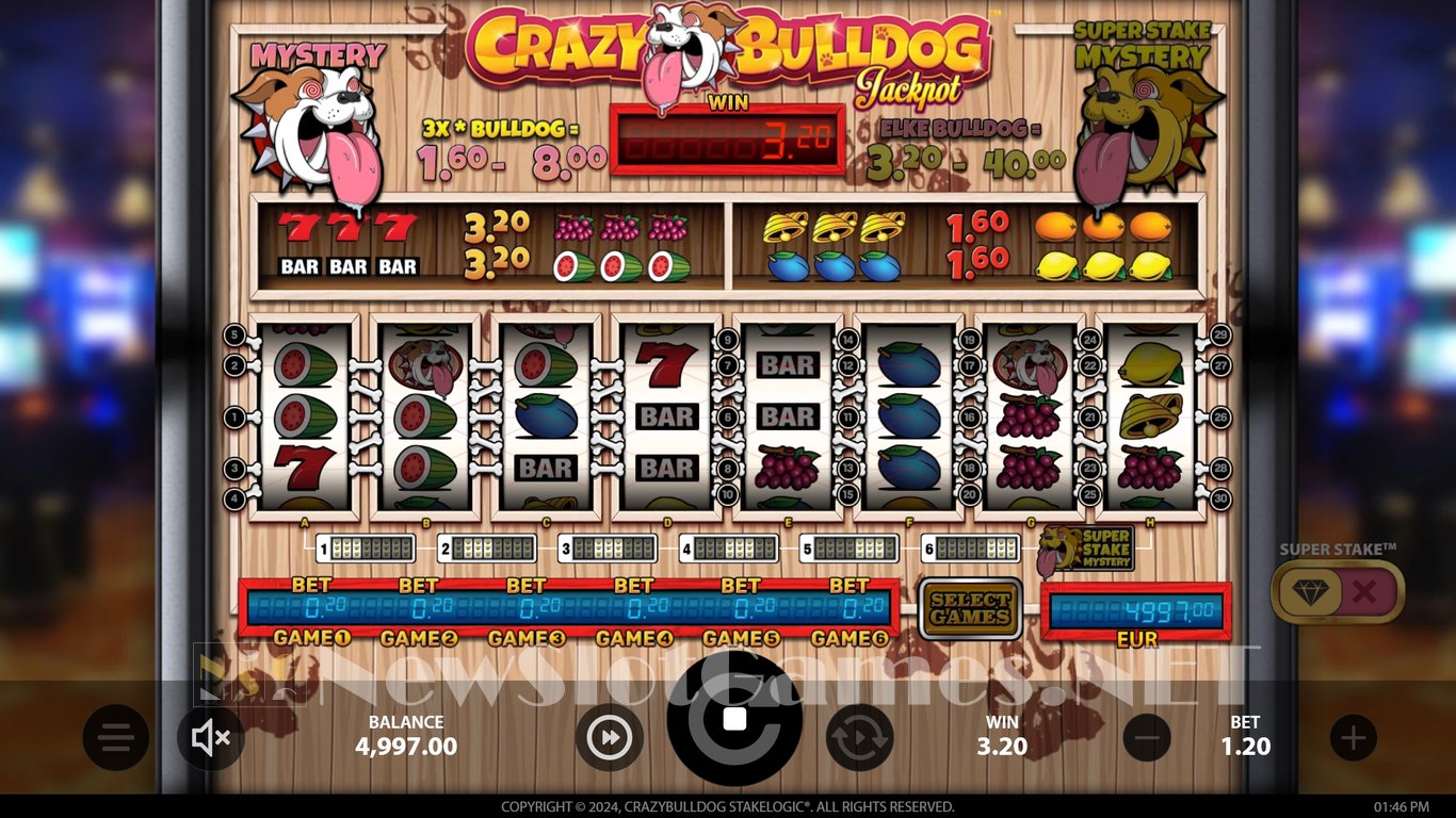 Crazy Bulldog Slot Slot Image in Demo - pic. 5