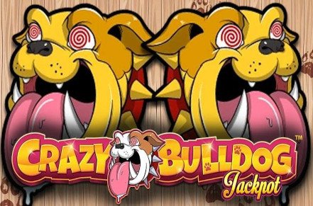 Crazy Bulldog Slot Logo