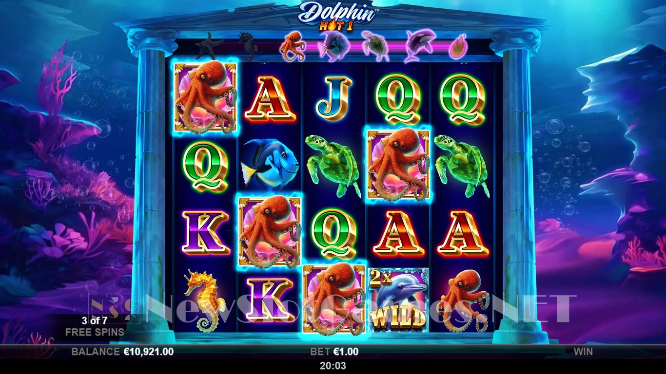 Dolphin Hot 1 Slot Slot Image in Demo - pic. 10