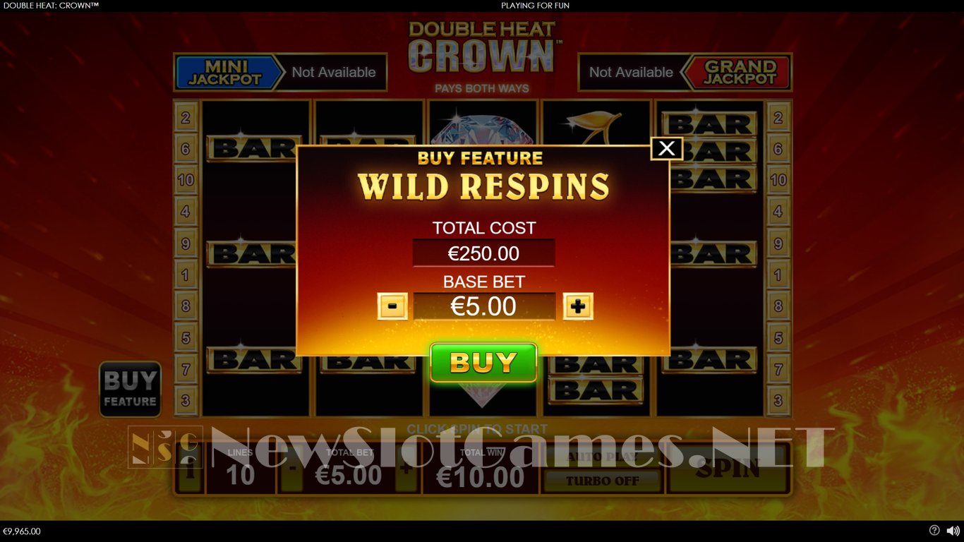 Double Heat Crown Slot Slot Image in Demo - pic. 5