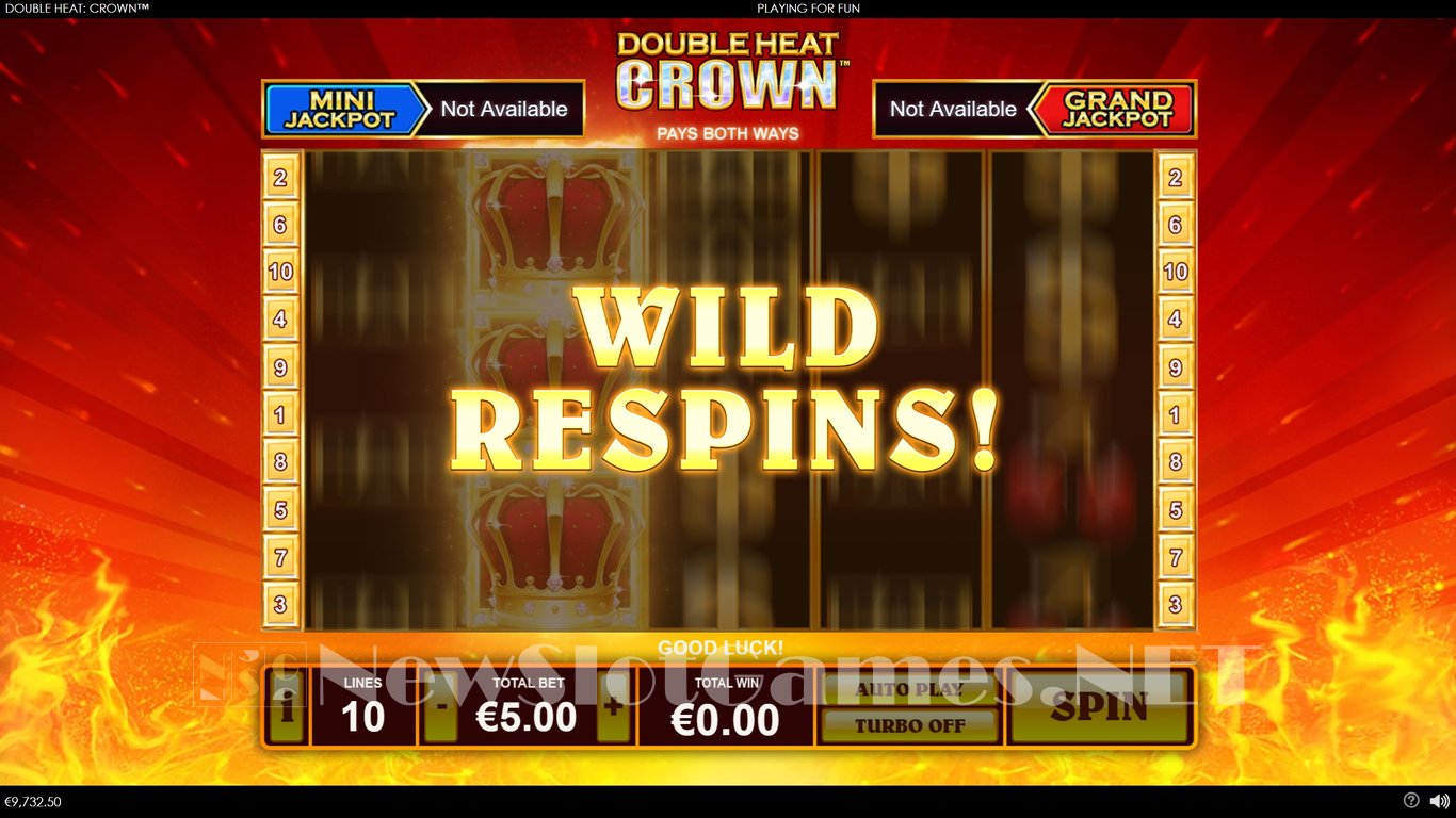 Double Heat Crown Slot Slot Image in Demo - pic. 7