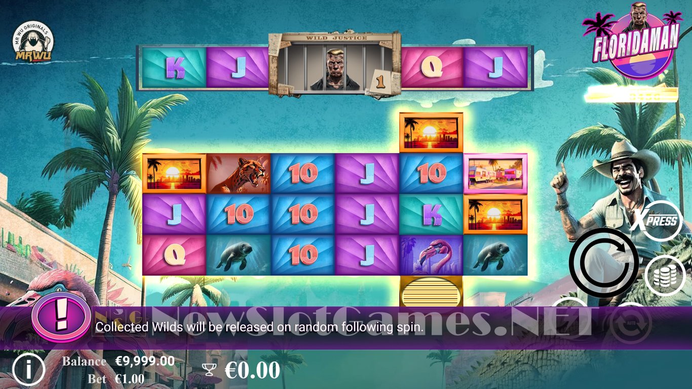 FloridaMan Slot Slot Image in Demo - pic. 3