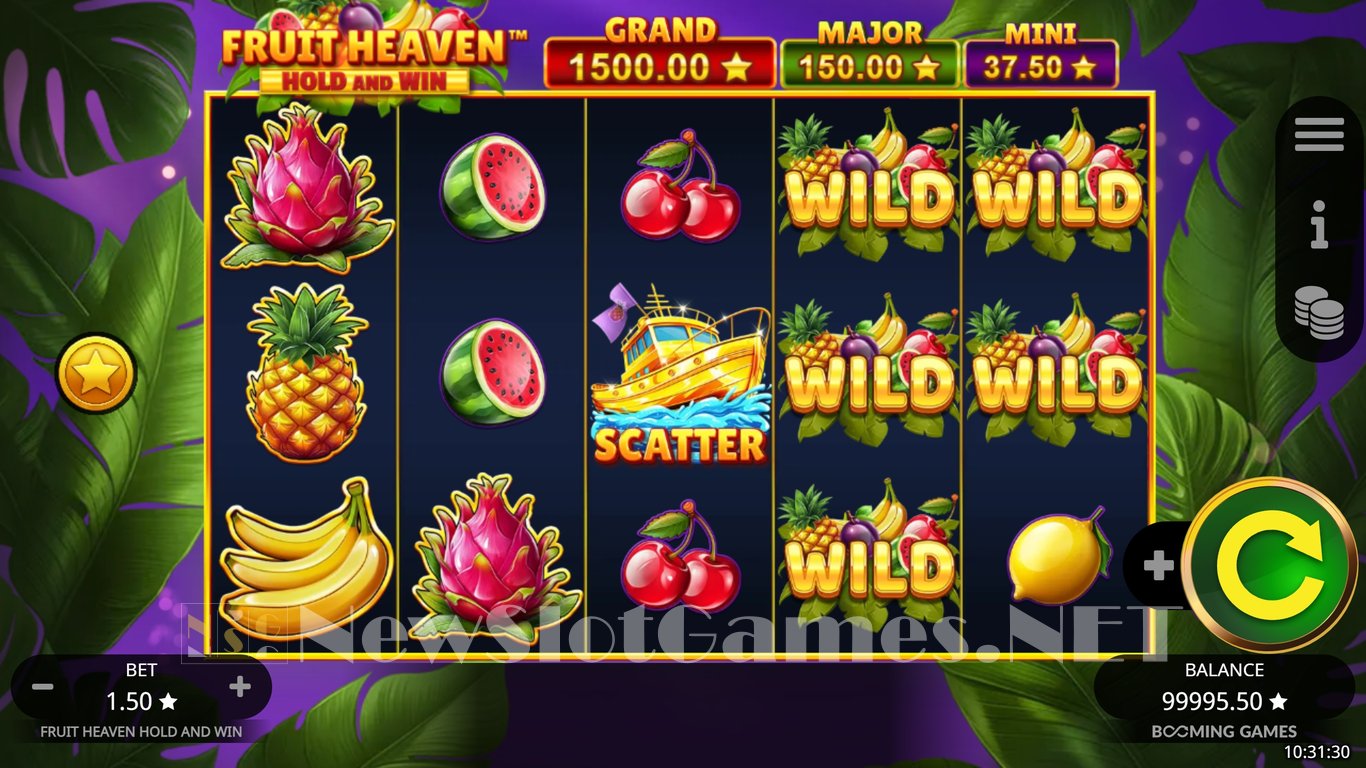Fruit Heaven Hold and Win Slot Slot Image in Demo - pic. 3