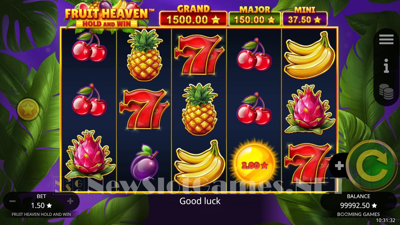 Fruit Heaven Hold and Win Slot Slot Image in Demo - pic. 4