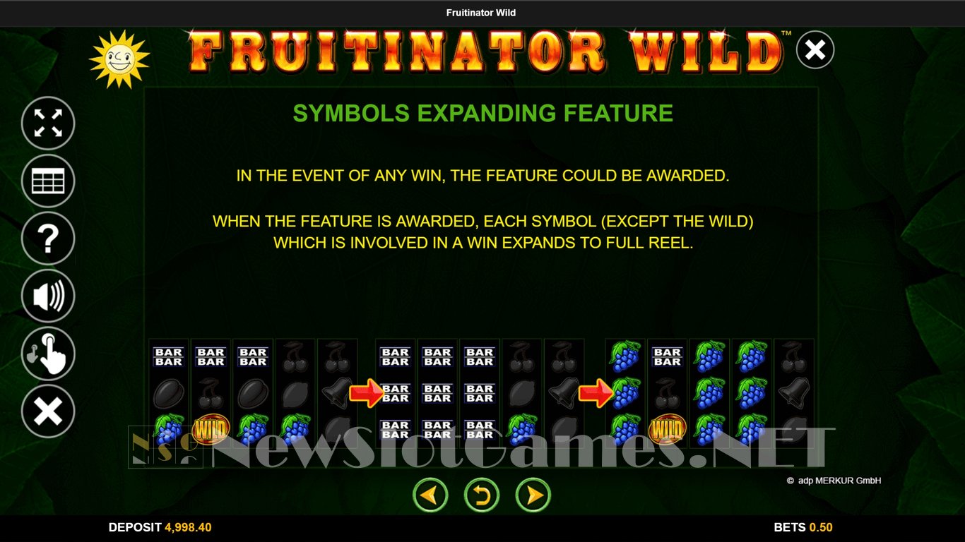 Fruitinator Wild Slot Slot Image in Demo - pic. 7