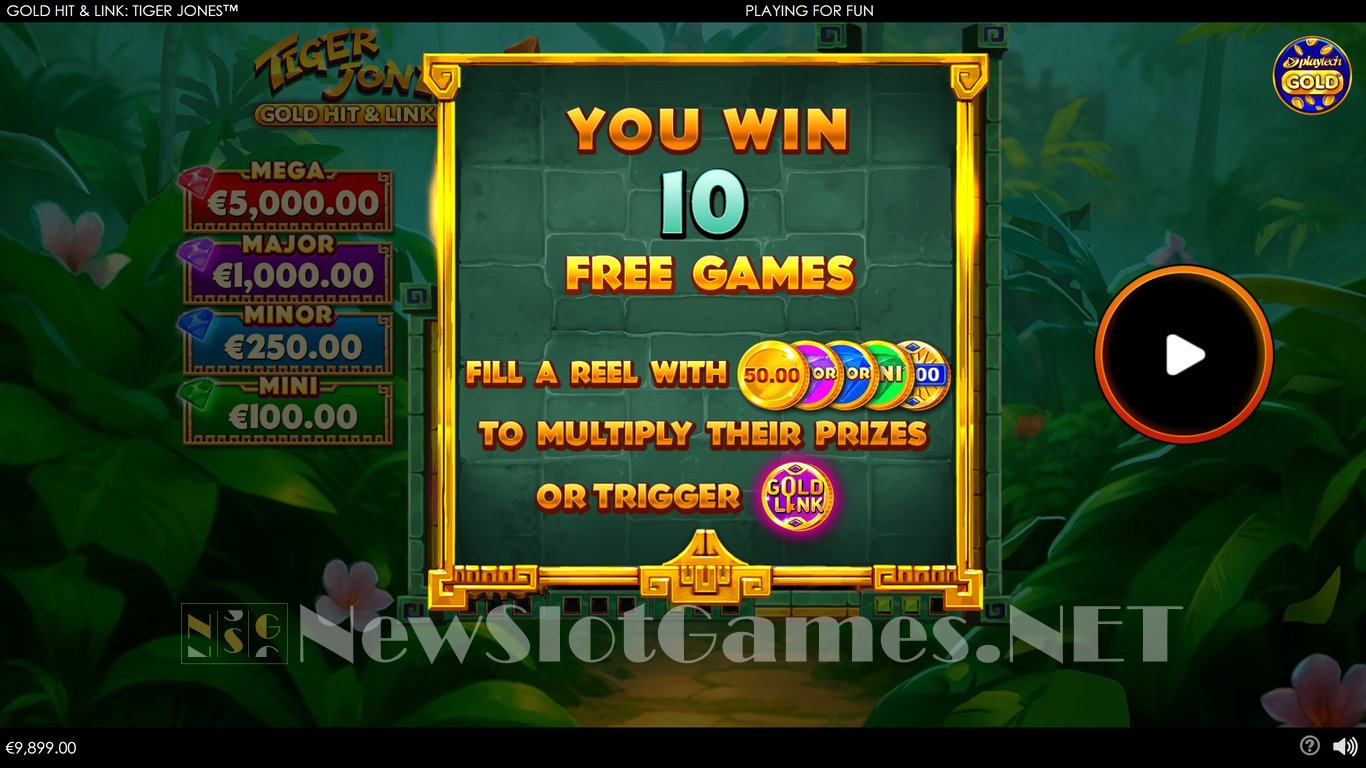 Gold Hit & Link Tiger Jones Slot Slot Image in Demo - pic. 4