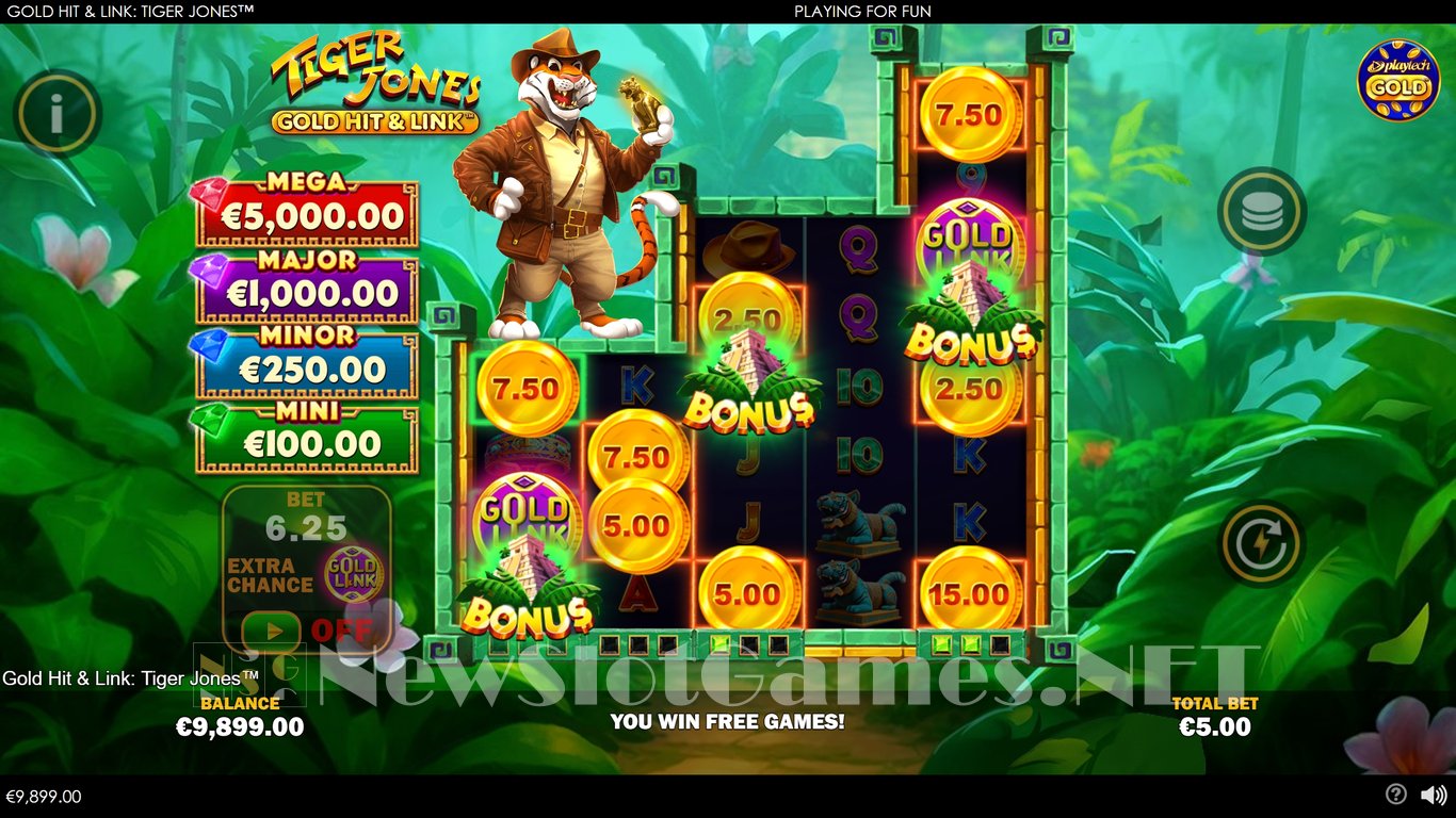 Gold Hit & Link Tiger Jones Slot Slot Image in Demo - pic. 5
